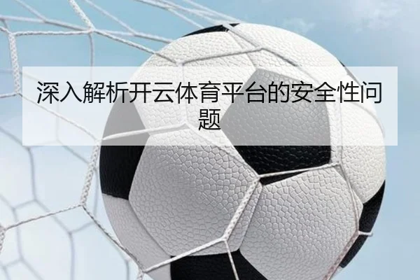深入解析开云体育平台的安全性问题